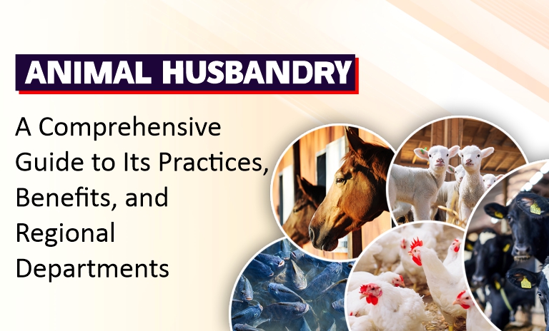 Animal Husbandry: A Comprehensive Guide to Its Practices, Benefits, and Regional Departments