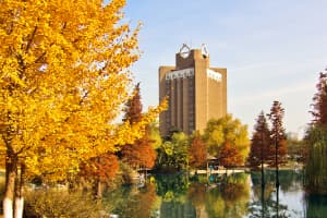 country image