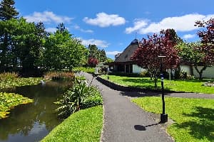 country image