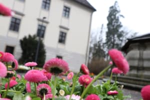 country image