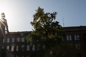country image